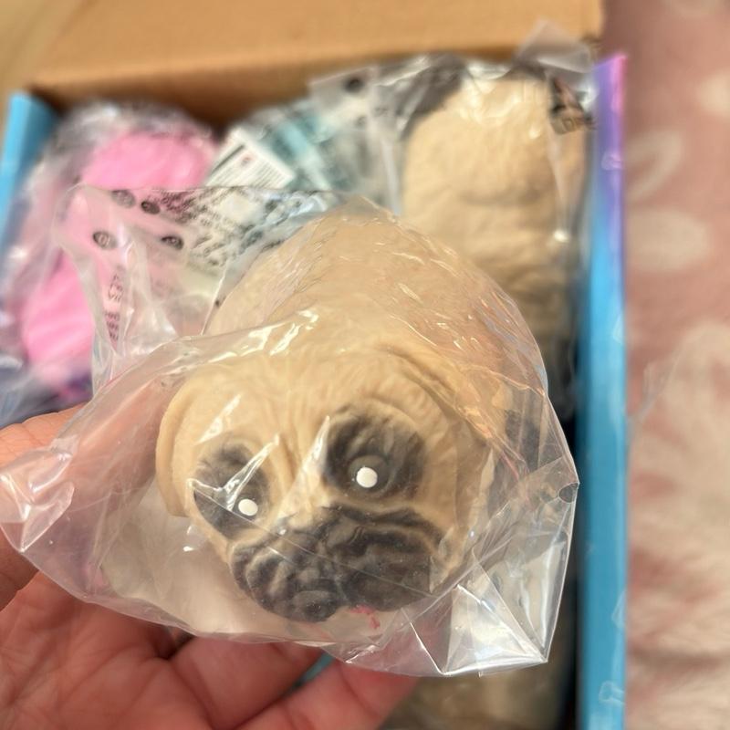 Pug Squishy - Sans Filled Fidget Toy